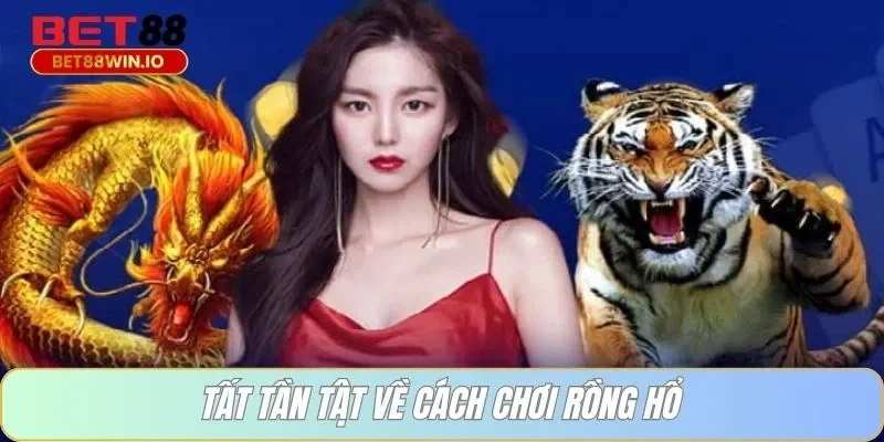 Tất tần tật về cách chơi rồng hổ Tất tần tật về cách chơi rồng hổ Bet88