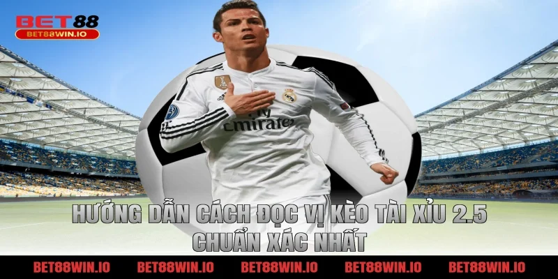 Hướng dẫn cách đọc vị kèo tài xỉu 2.5 chuẩn xác nhất