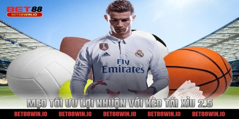 Mẹo tối ưu lợi nhuận với kèo tài xỉu 2.5